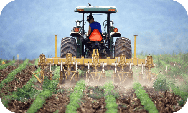 foto per pagina agricoltura - 7