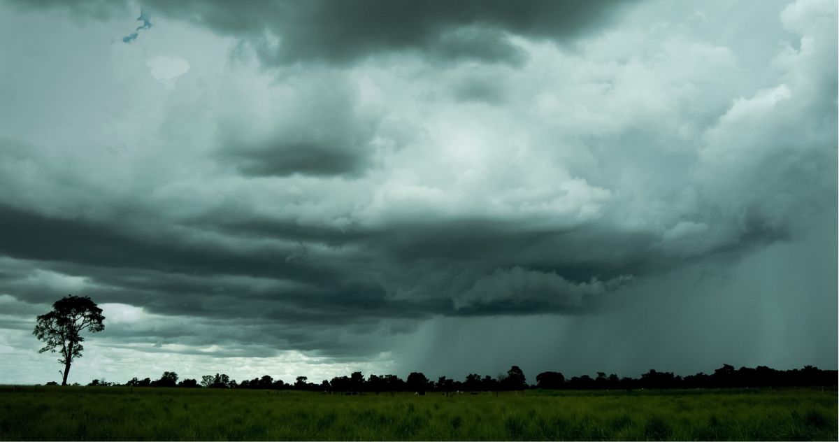 immagine Emergenza eventi metereologici e sismici