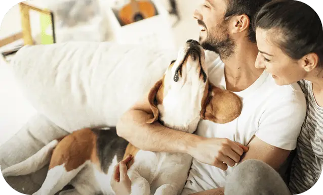 un uomo ed una donna giovani su un divano bianco che abbracciano il loro cane felici